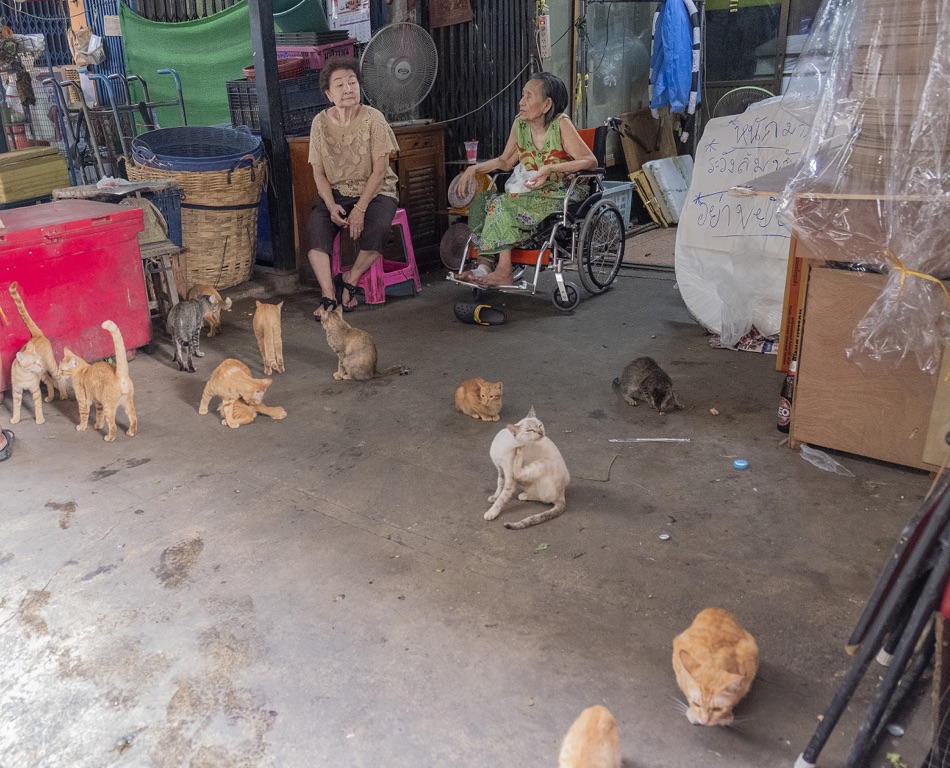 Bangkok, mercado de flores