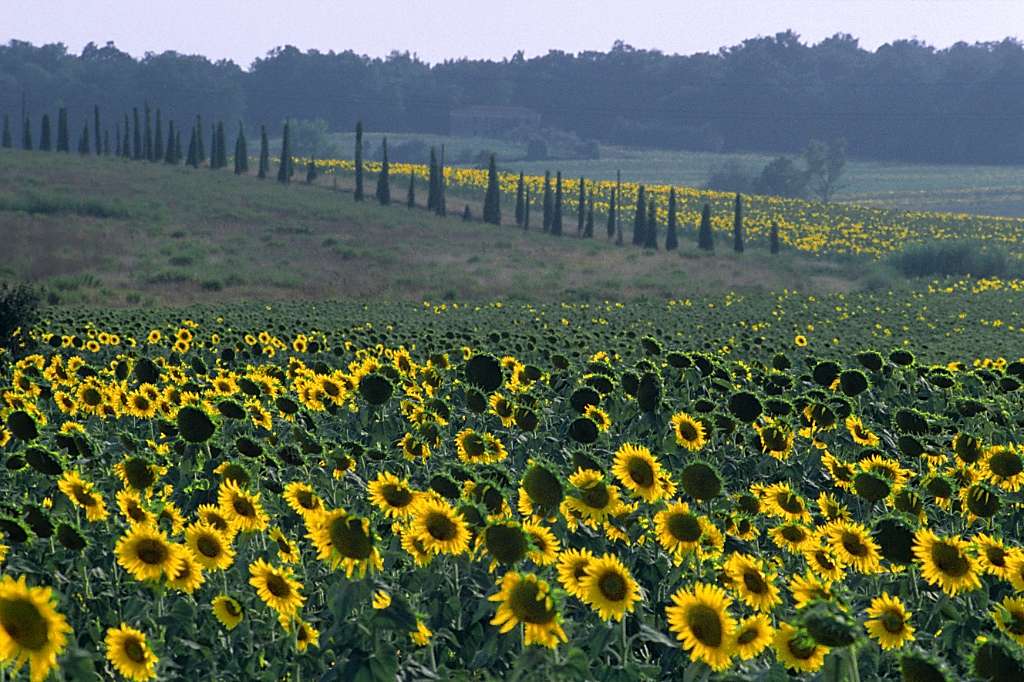 Toscana