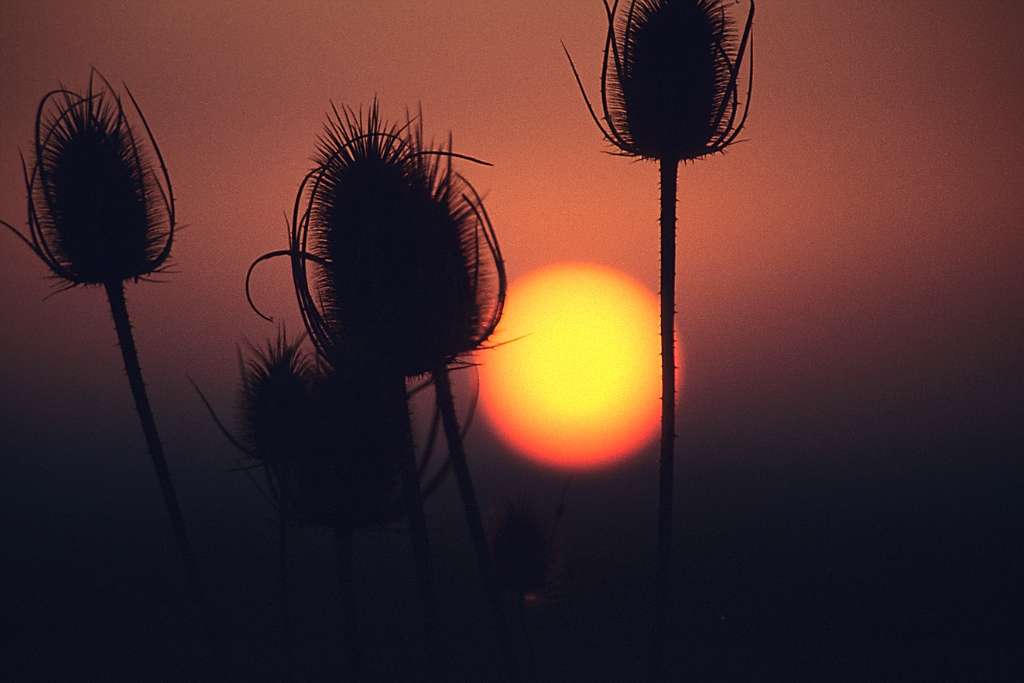 Toscana