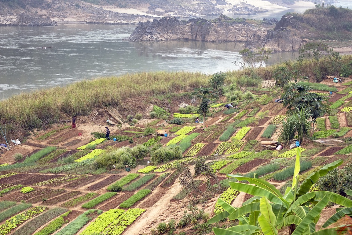 Pakbeng, huertos a orillas del río Mekong