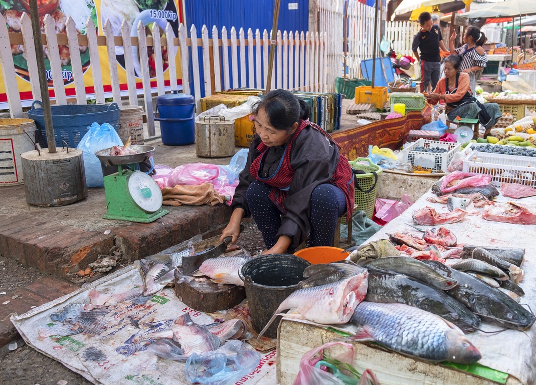 Luang prabang, mercado