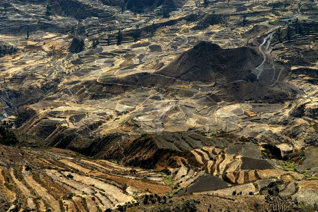 Cañón del Colca