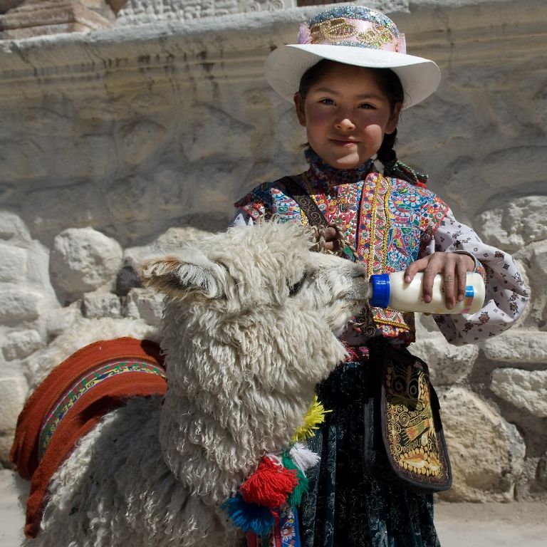 Maca, niña y alpaca