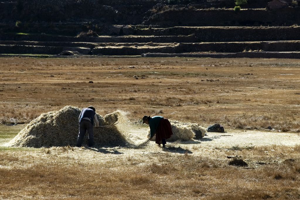 Campesinos en Raqchi