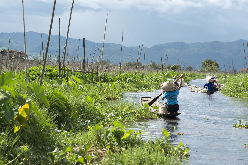 Lago Inle, huertos flotantes