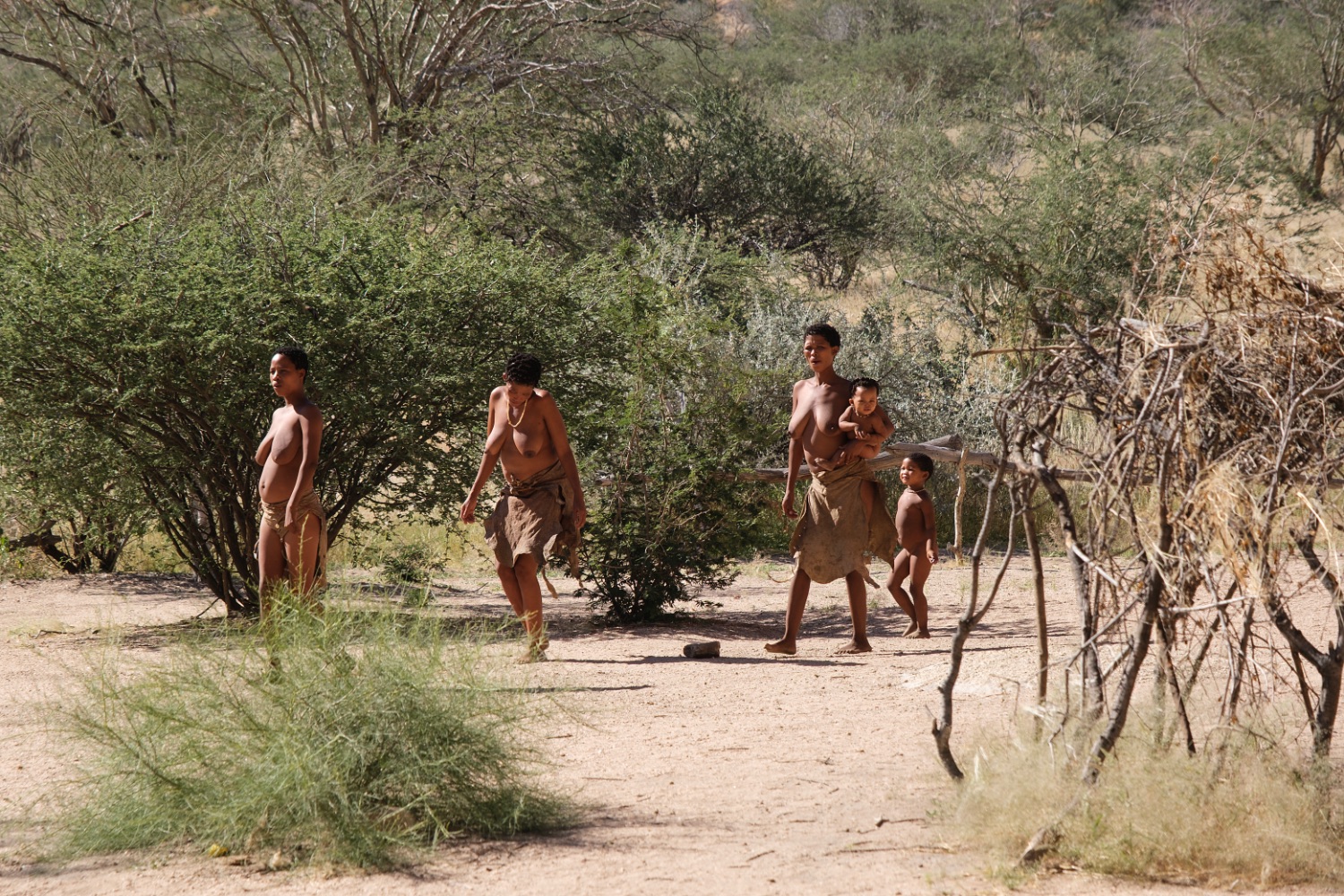 Mujeres de la tribu san (bosquimanos)