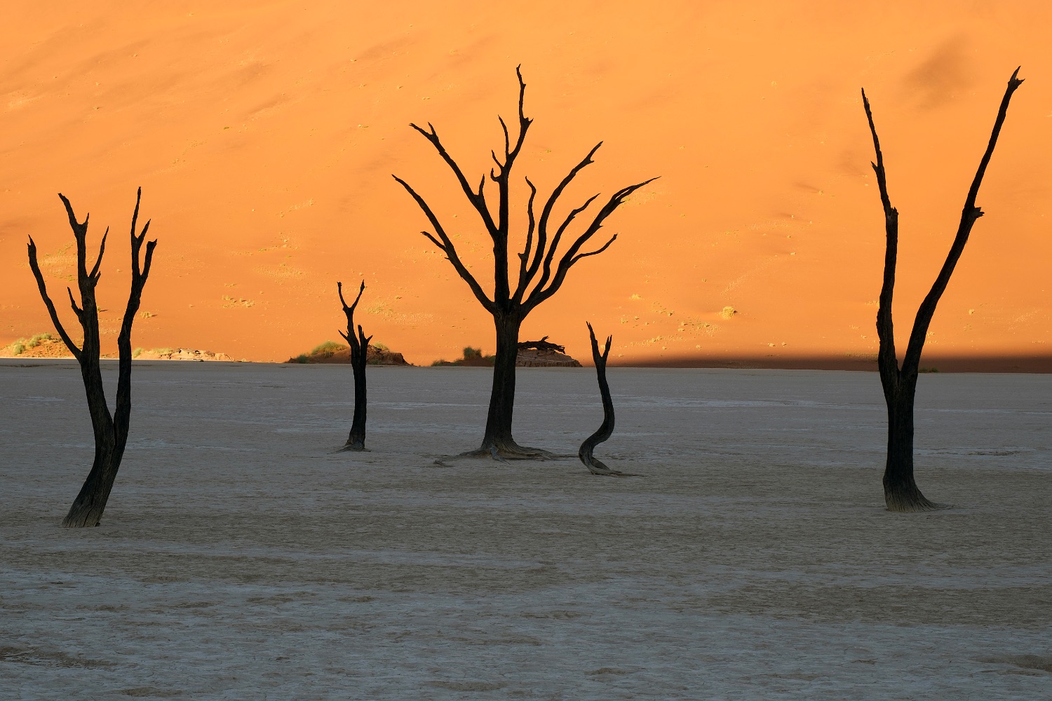 Desierto del Namib, Deadvlei