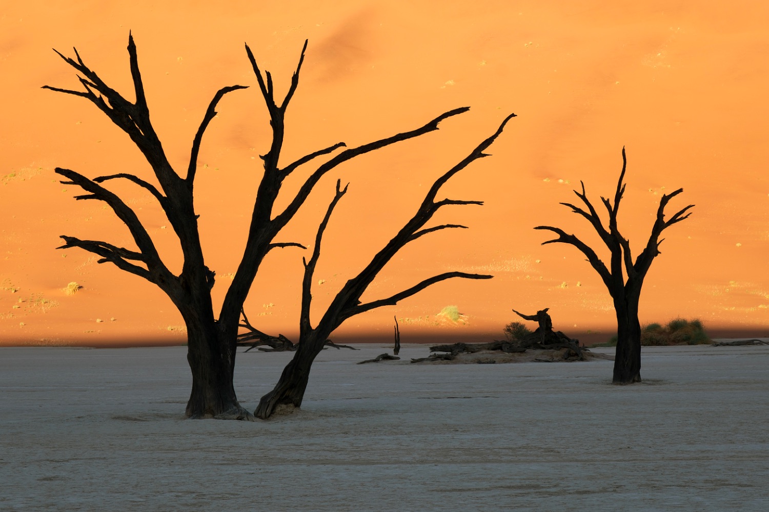 Desierto del Namib, Deadvlei
