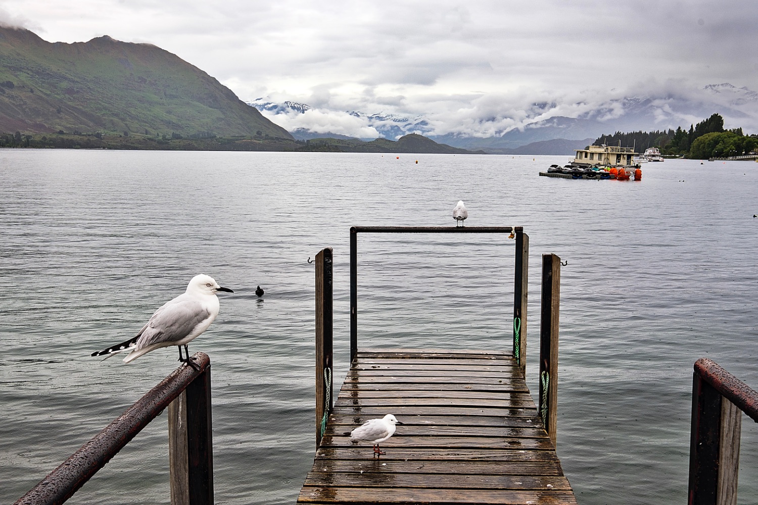 Wanaka