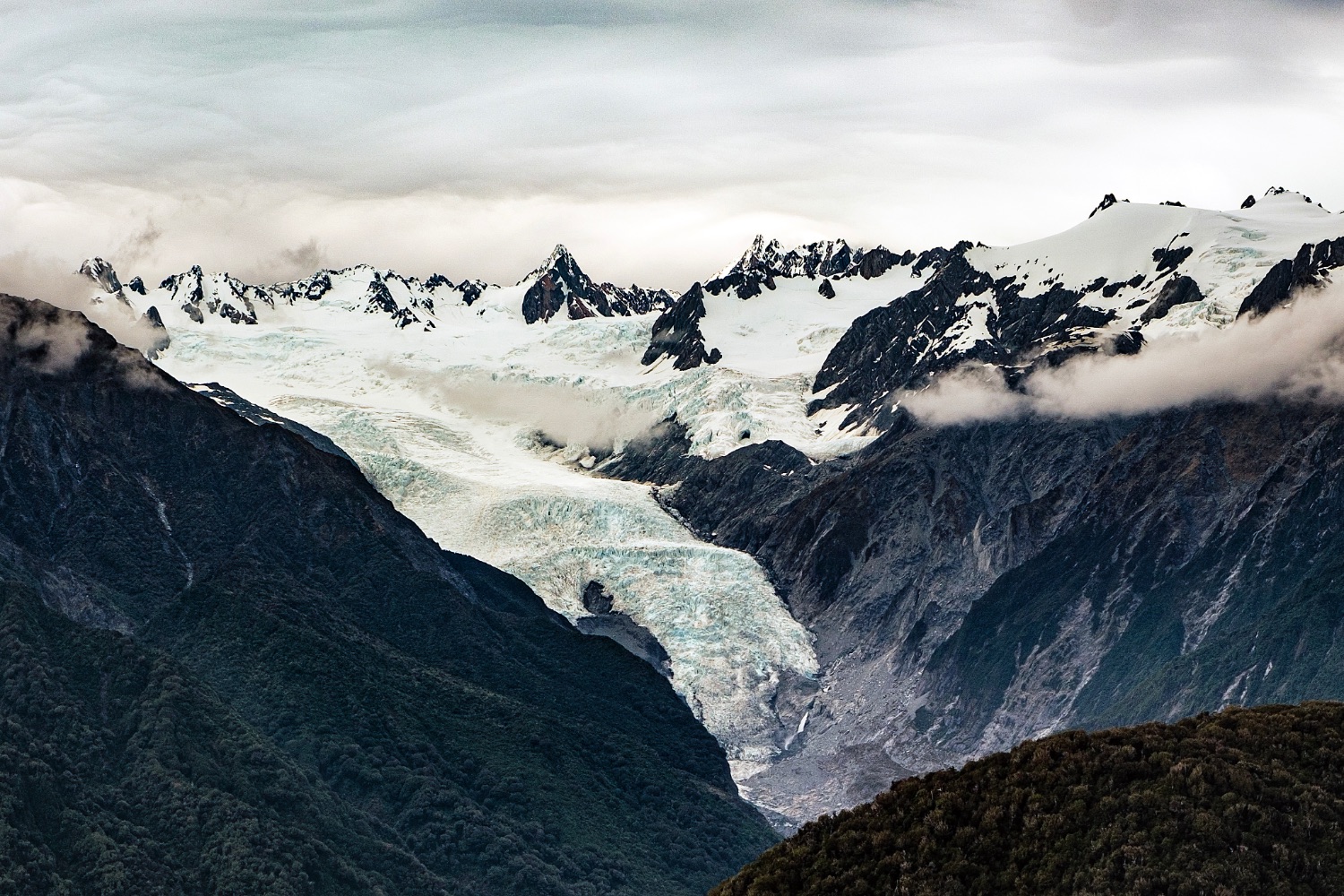 Glaciar Franz Josef