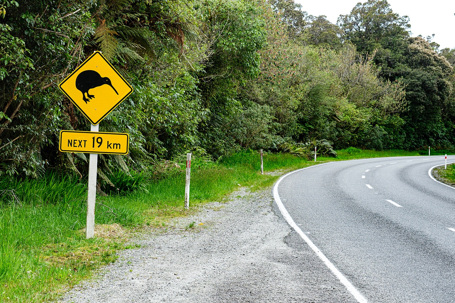Señal de kiwis en la carretara