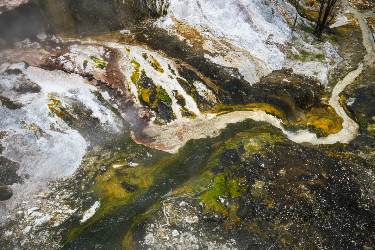 Orakei Korako