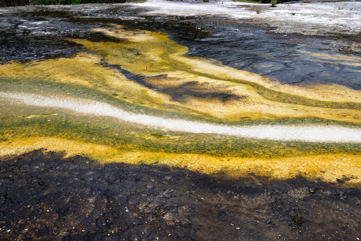 Orakei Korako