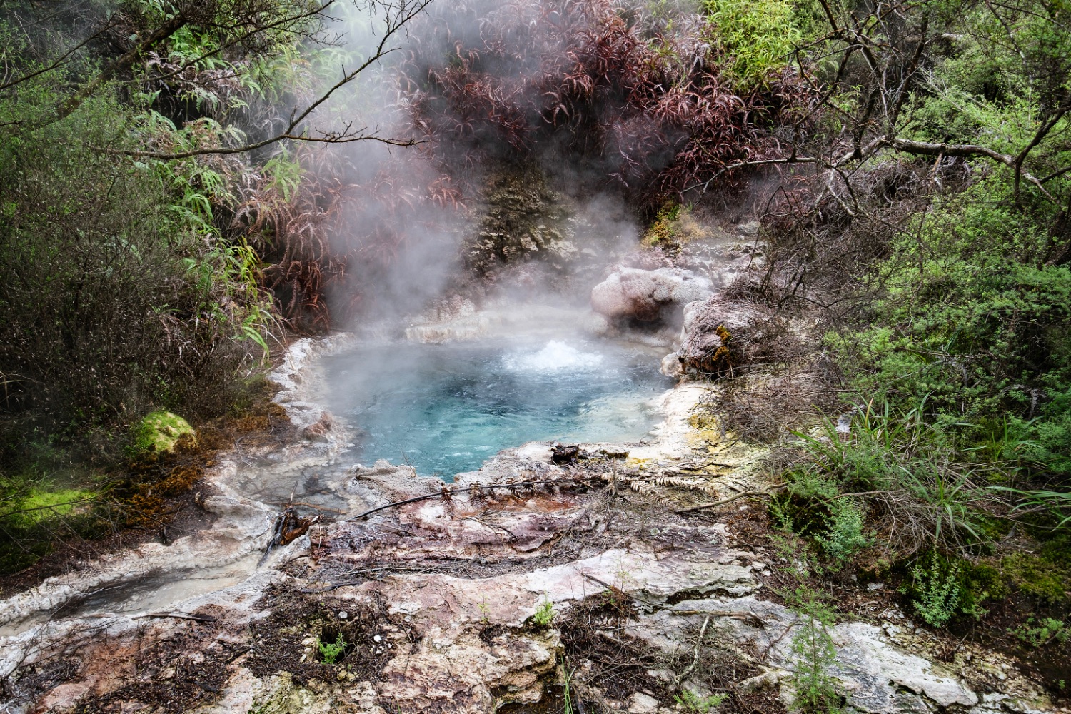 Orakei Korako