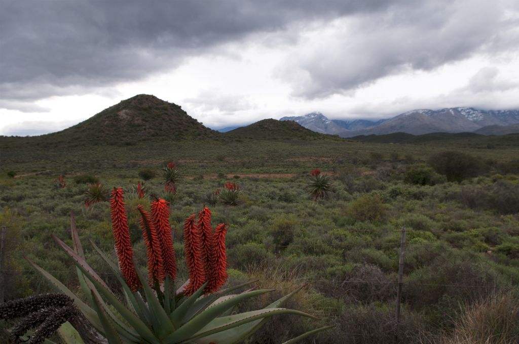 Ruta Jardín