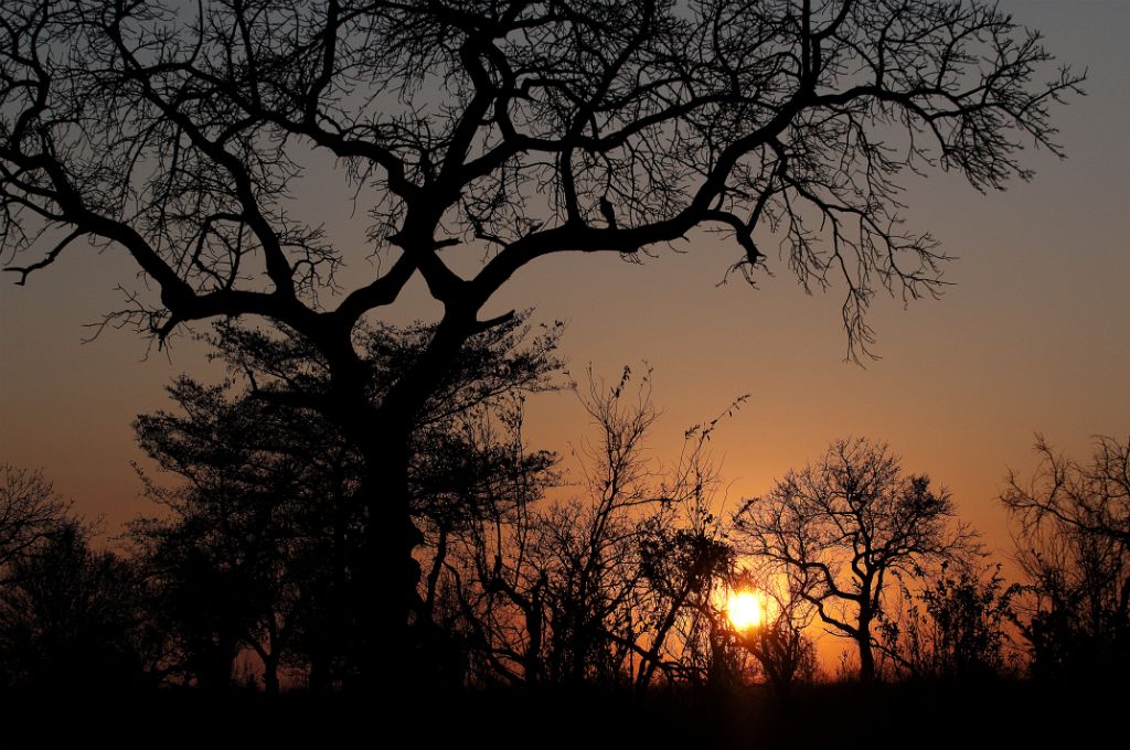 Kruger National Park