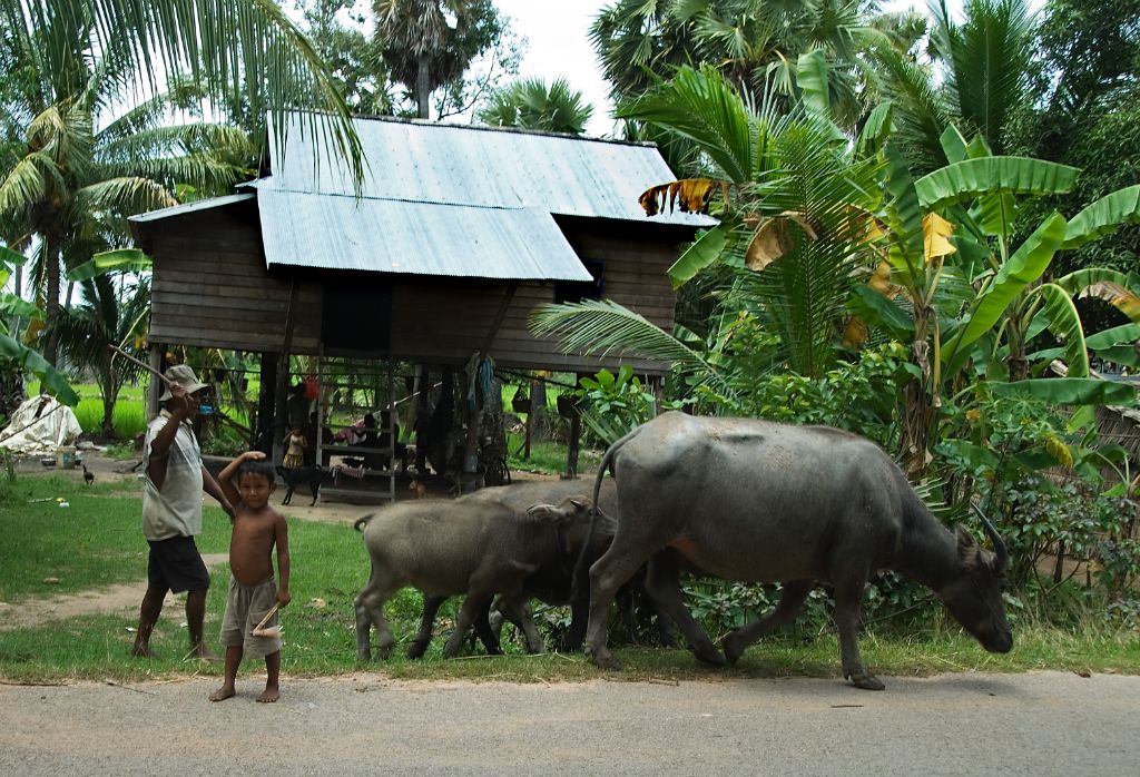 Camboya - Aldea camboyana