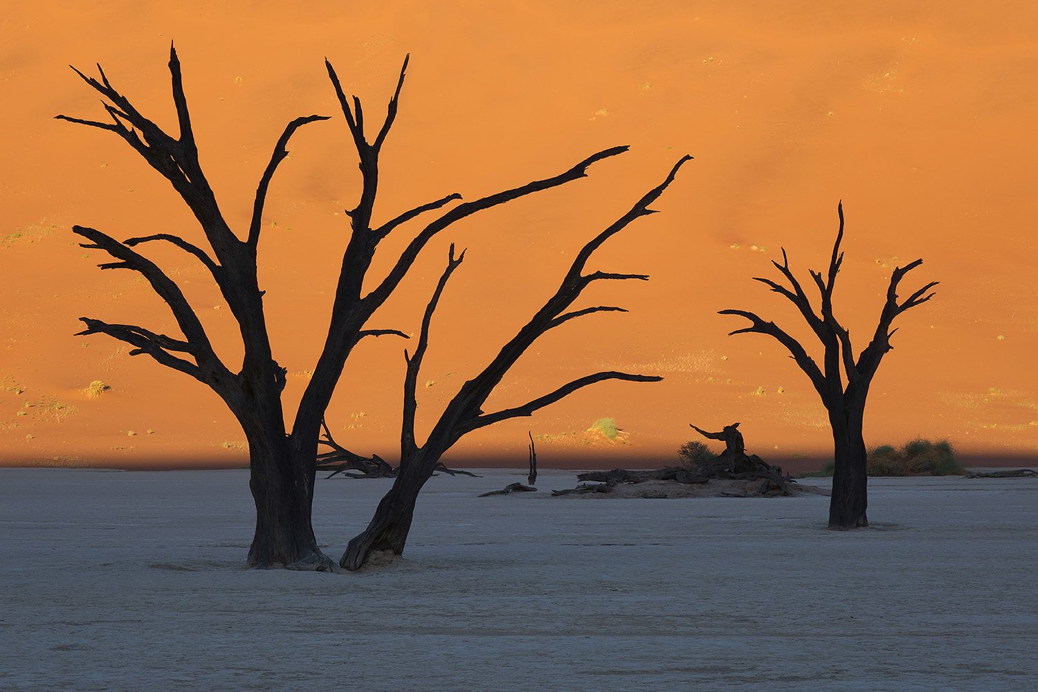 Deadvlei, desierto de Namib (Namibia), 2025
