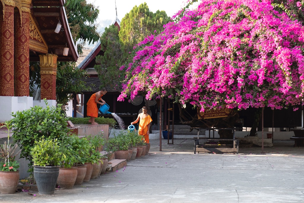 Luang Prabang (Laos), 2020